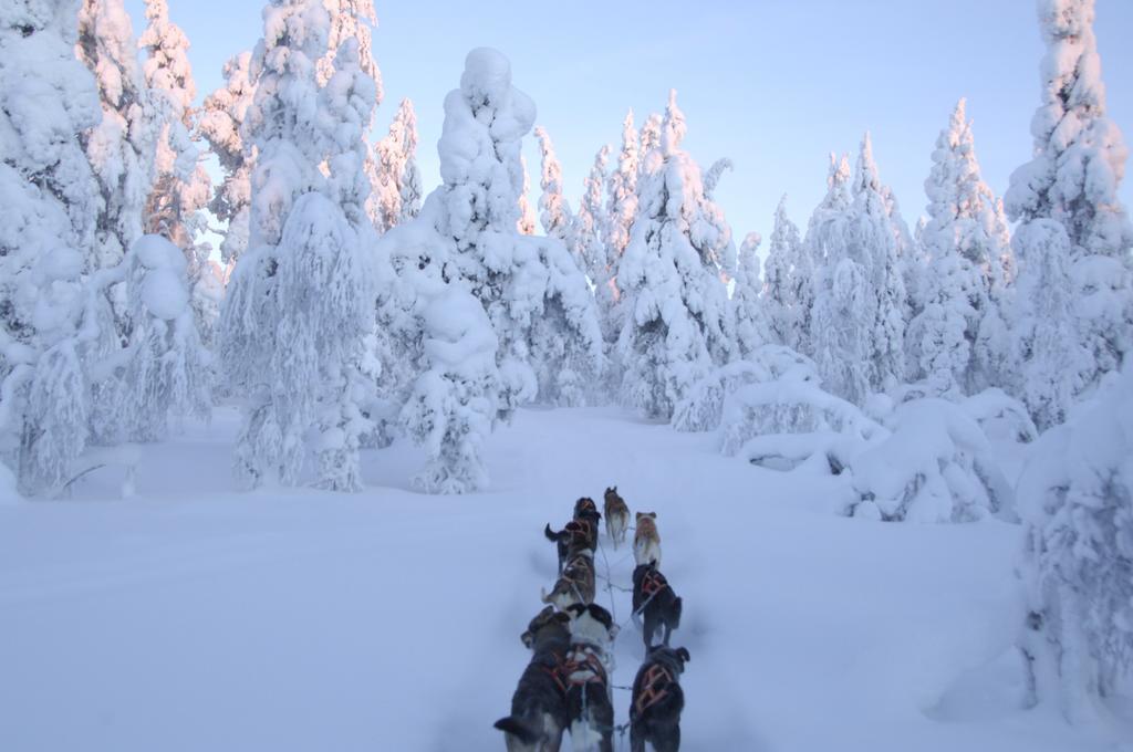 Guesthouse Husky Ivalo Buitenkant foto