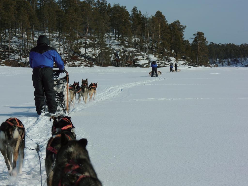 Guesthouse Husky Ivalo Buitenkant foto